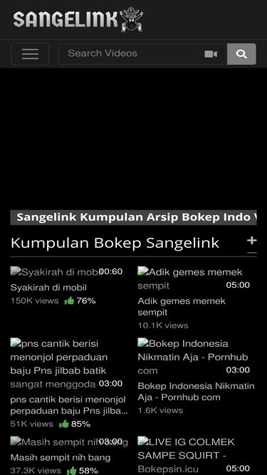 SANGELINK .